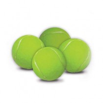 Hyper Pet Replacement Balls 4 pack - HYP002